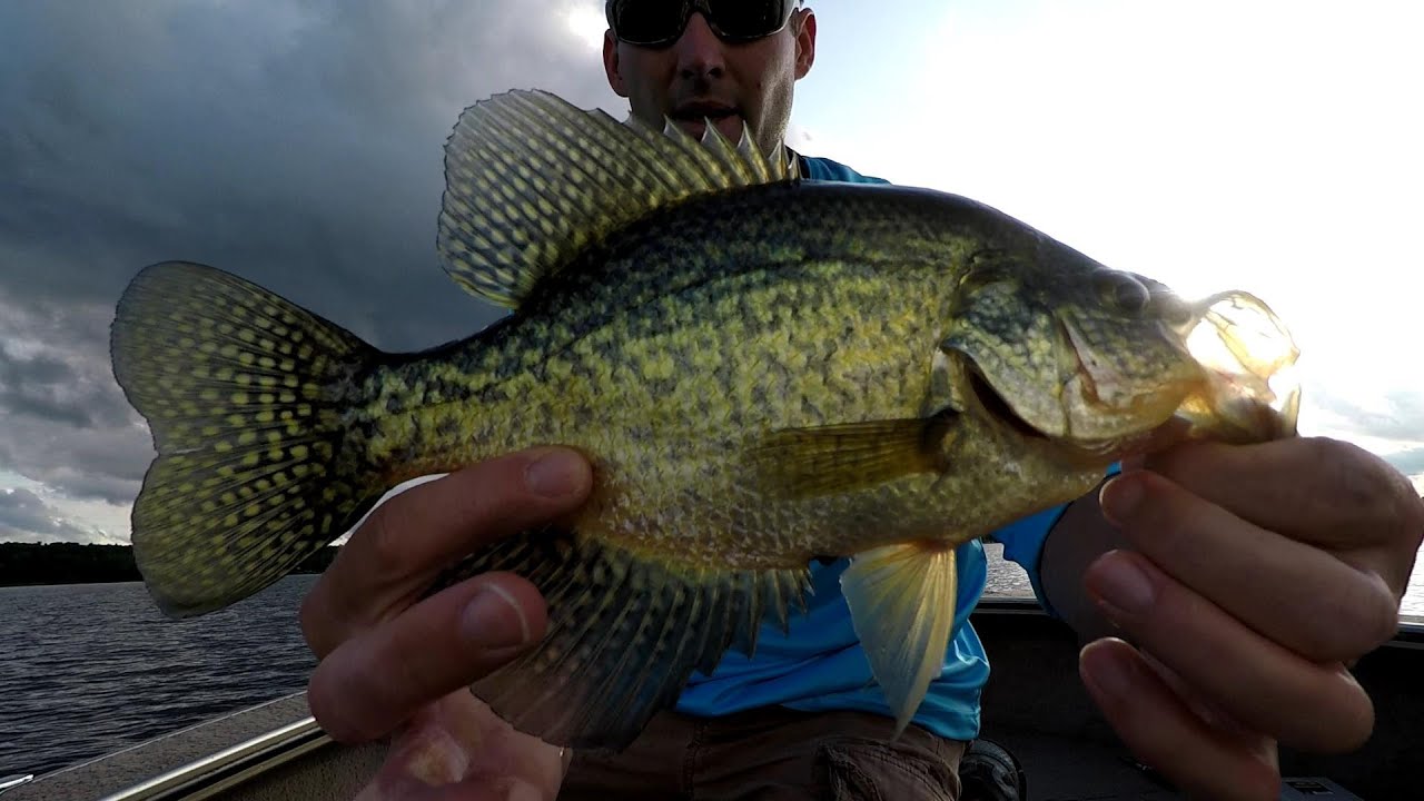 How To Use Sonar To Quickly Locate Crappie (Simple Tips)