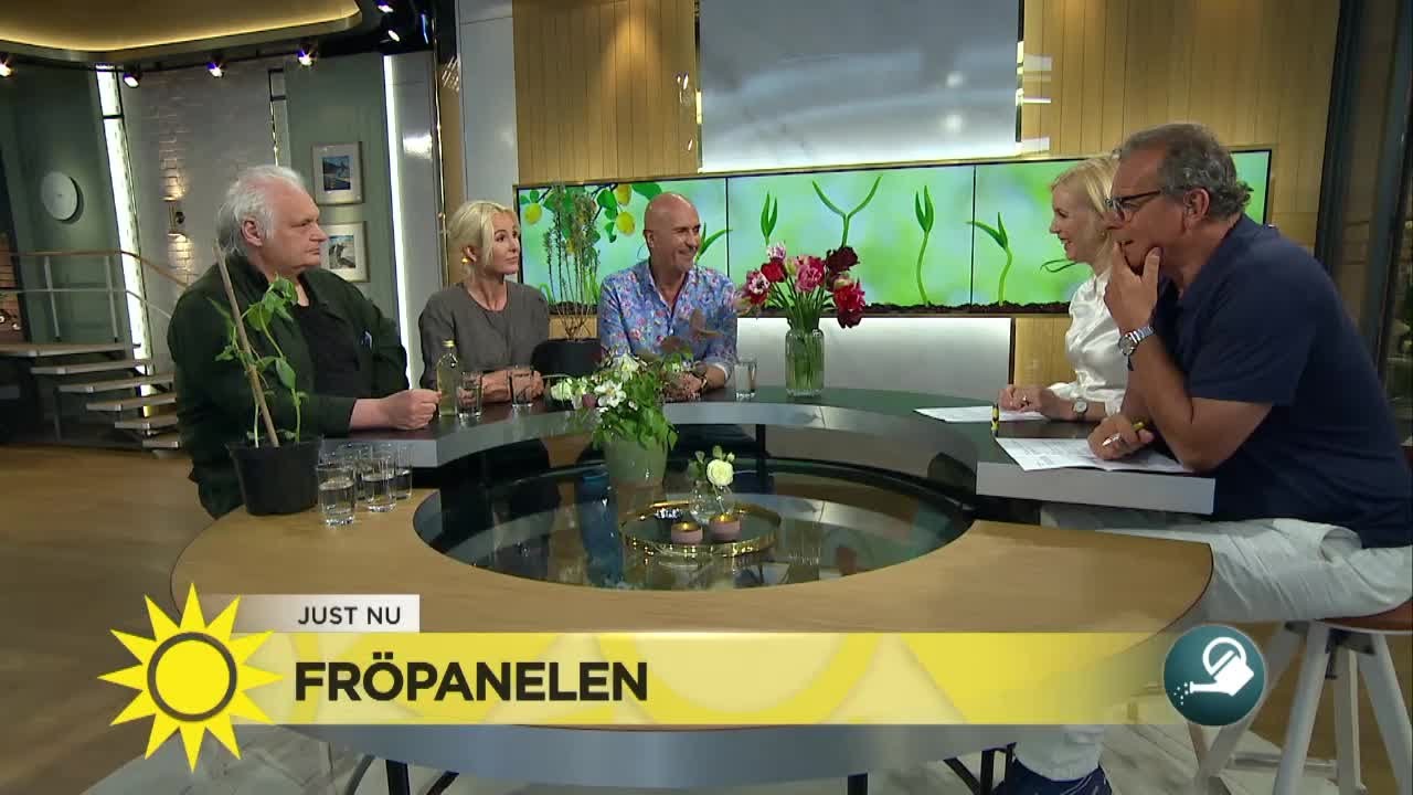 Fröpanelen mellan hägg och syren: Ogräset måste bort före midsommar - Nyhetsmorgon (TV4)