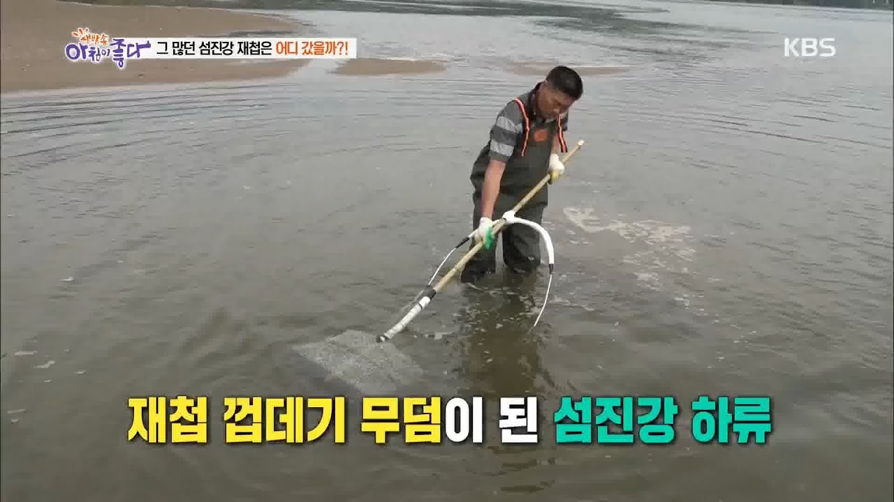 [현장속으로] 그 많던 섬진강 재첩은 어디 갔을까? [생방송 아침이 좋다] 20200602