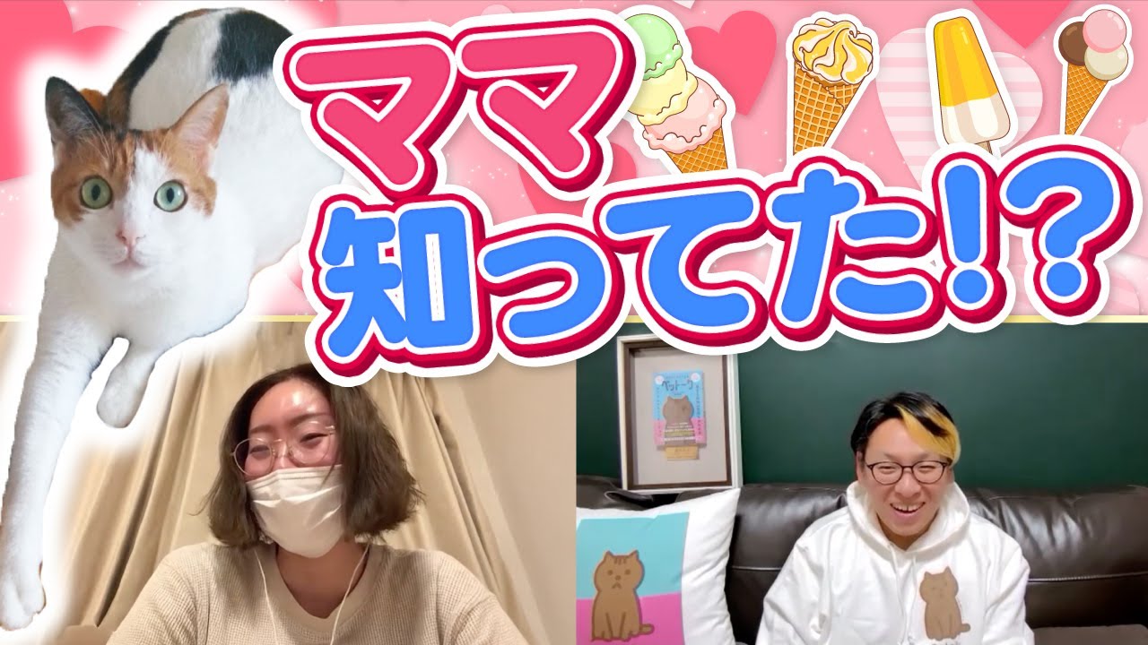 猫と話してみたら凄いことが分かった