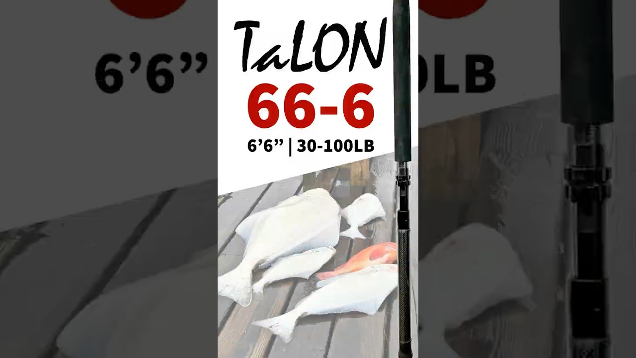 66-6C - Halibut Rod