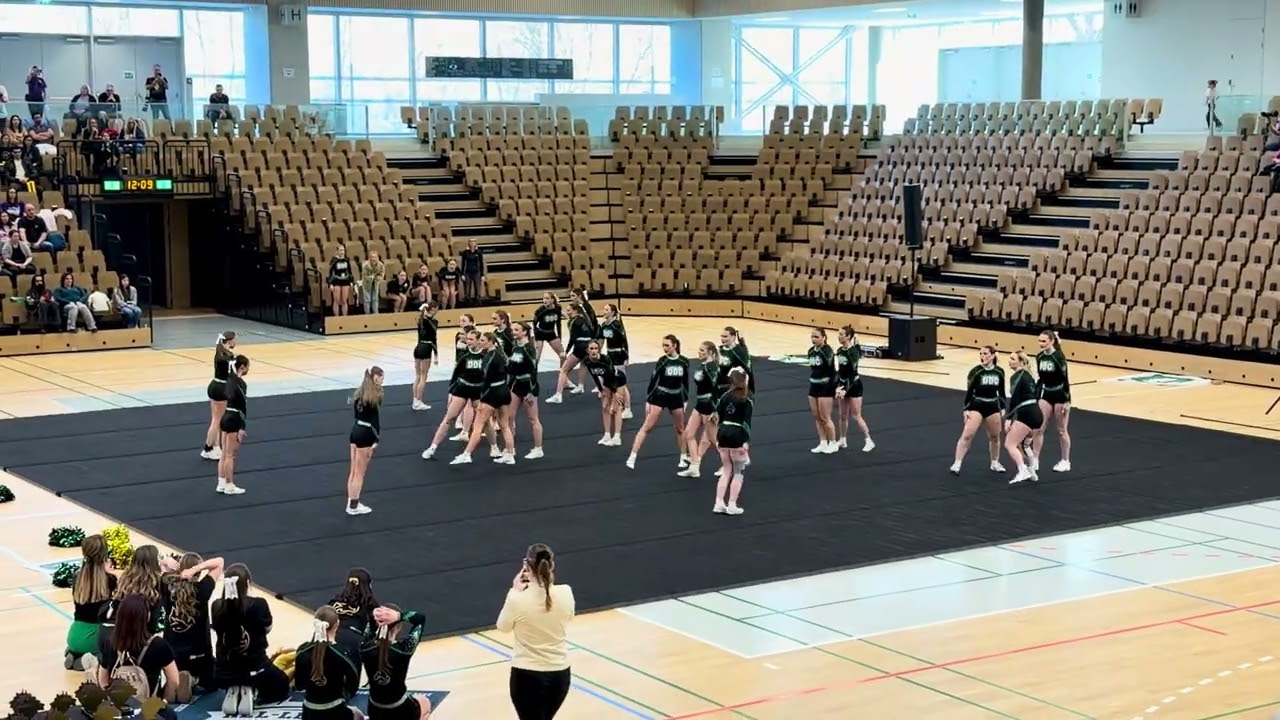 Viecheer All Level 2026, Danube Dragons Unique 