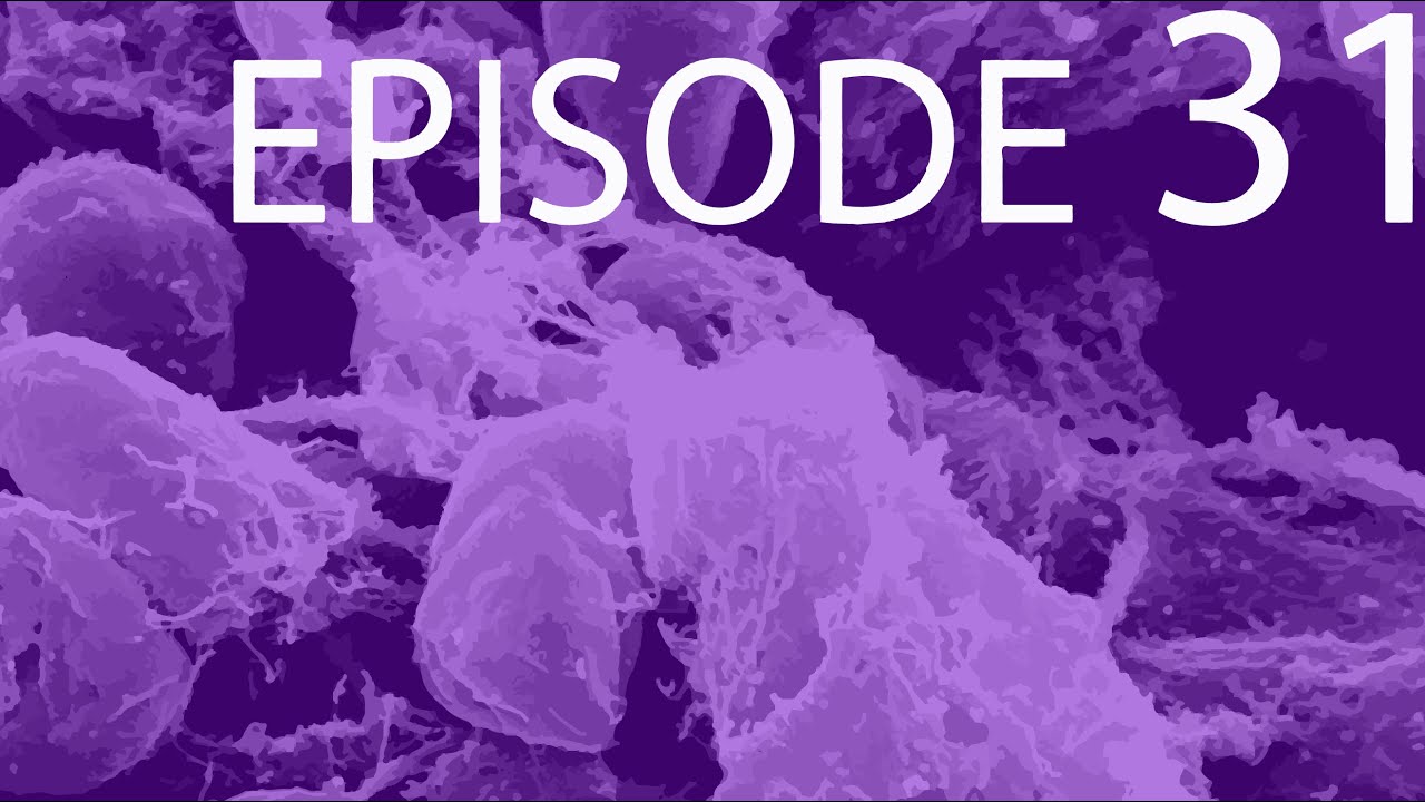 Episode 31 - Archaea & Bacteria