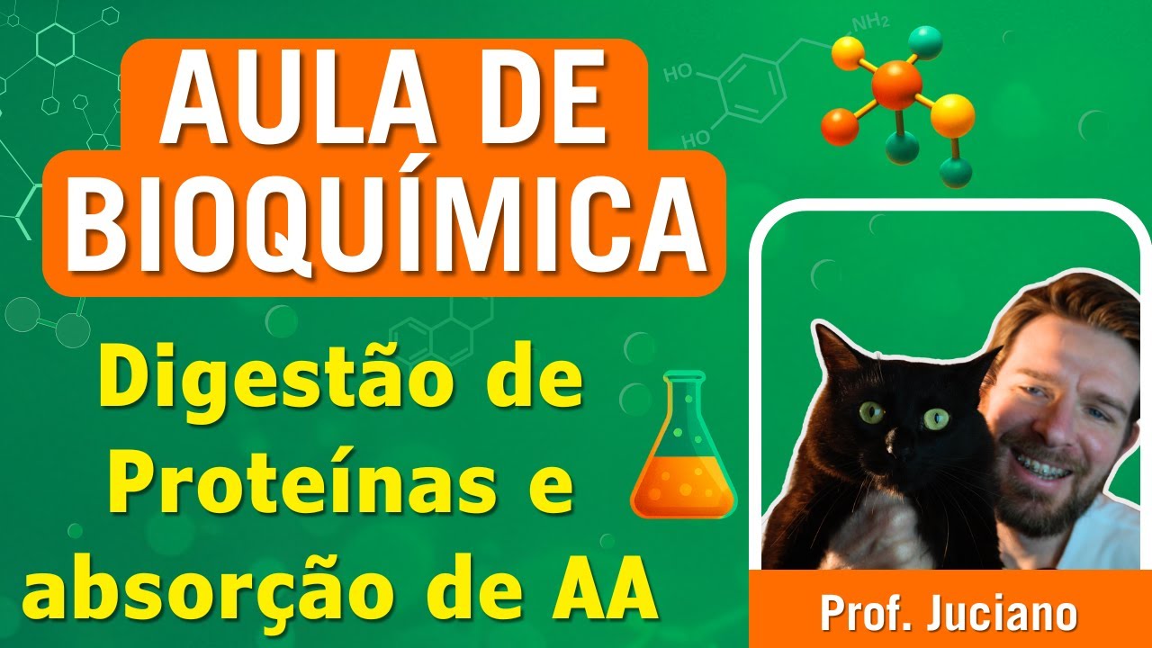 Digestão de Proteínas e Absorção de Aminoácidos | Aula para Ensino Superior