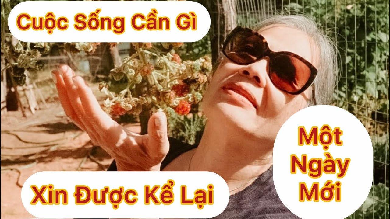 Tập 1909: Cuộc Sống Cần Gì ? Hồng Kể Lại  Hai Câu Chuyện Buồn Nhất Trong Đời 