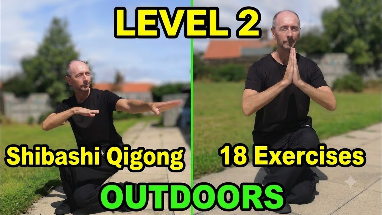 Full Shibashi Qigong 18 Exercises Meditation Level 2 with Sifu Paul Nathan...
