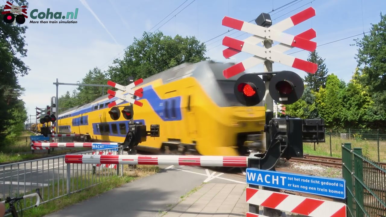 Spoorwegovergang Driebergen-Rijsenburg, Utrecht 😍4K😍 // Dutch railroad crossing