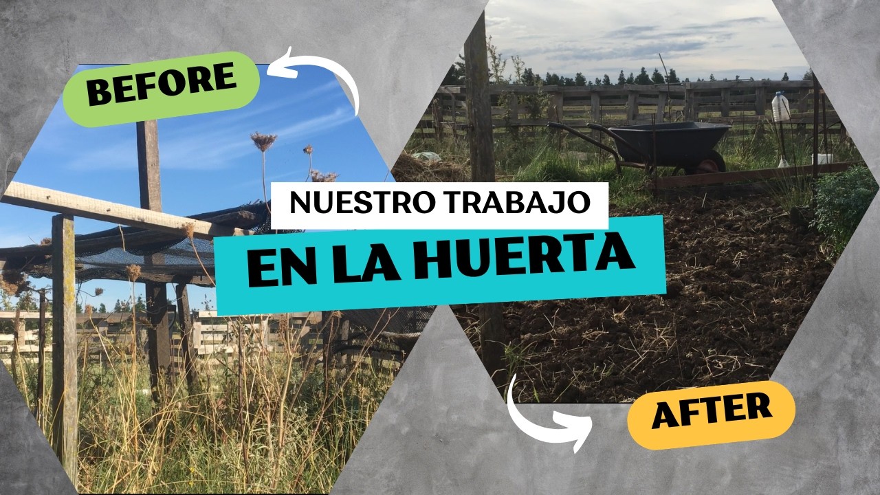 Semana 1: REVIVIENDO nuestra HUERTA