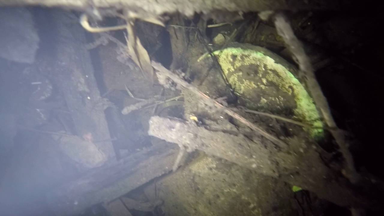 Čištění studny ve Fryčovicích - before (1) (skladiště všeho možného zarostlé kapradím)