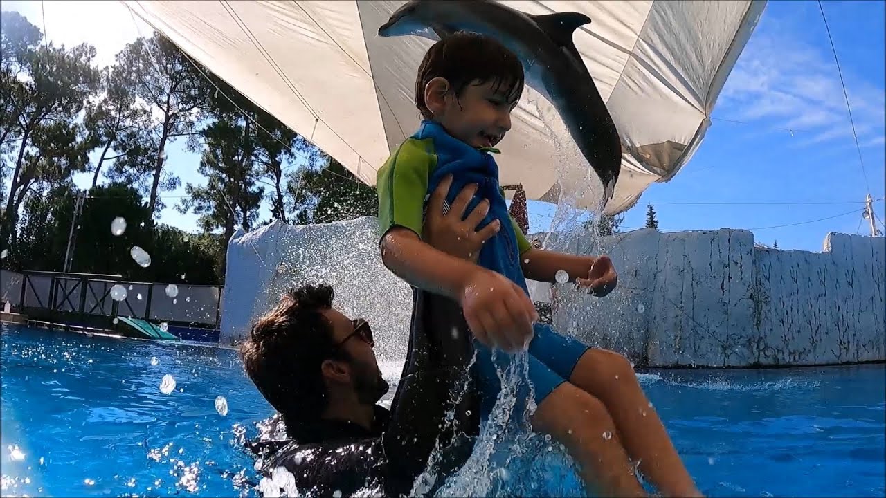 Dolphin Therapy Land ( Toprak )