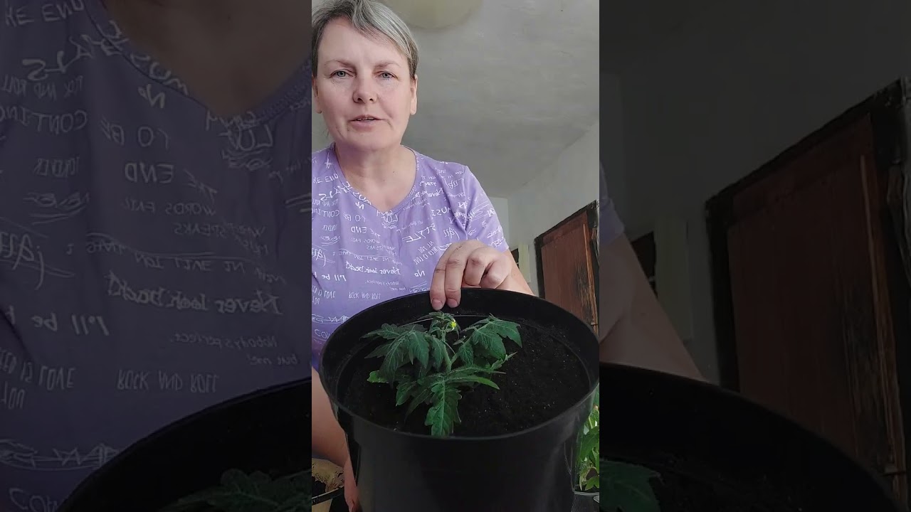 2 марта 2026 г.
