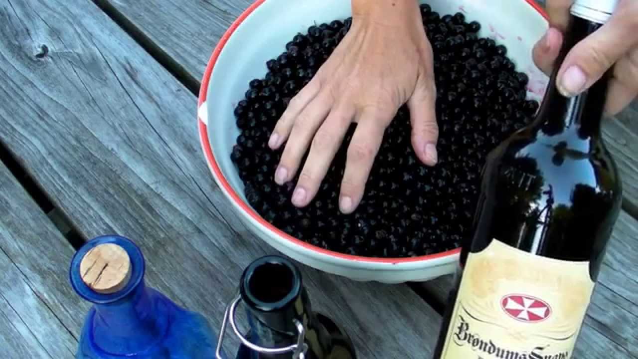 Fin sommer solbærsnaps