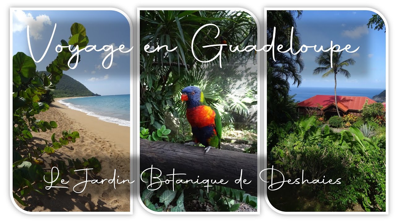 GUADELOUPE 2021 ➡️ Le Jardin Botanique de Deshaies