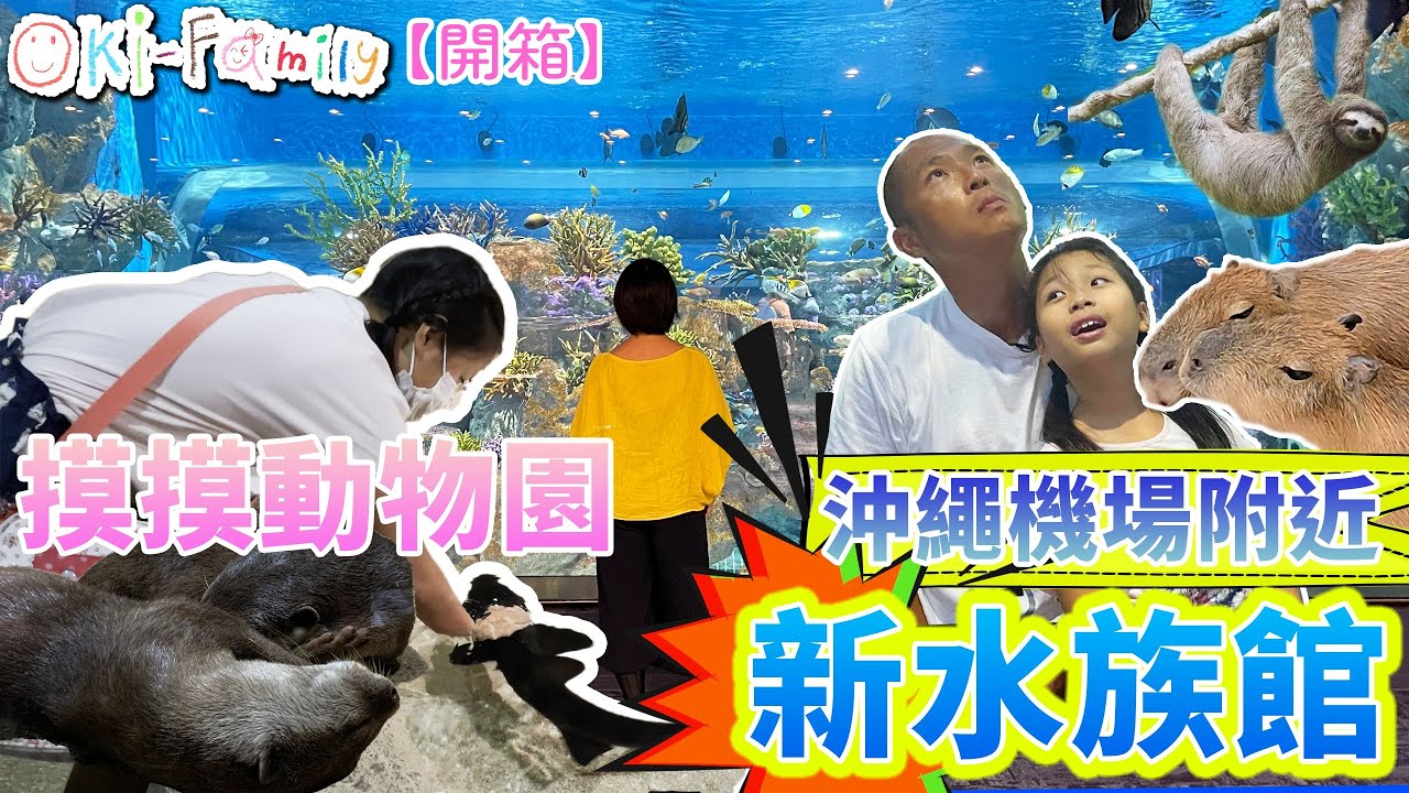 【沖繩機場附近 #新水族館 】 摸摸動物園 #開箱  #摸鯊魚 #樹瀨 #水豚 #打卡水族館   #DMMkariyushi水族館 （中文字幕）