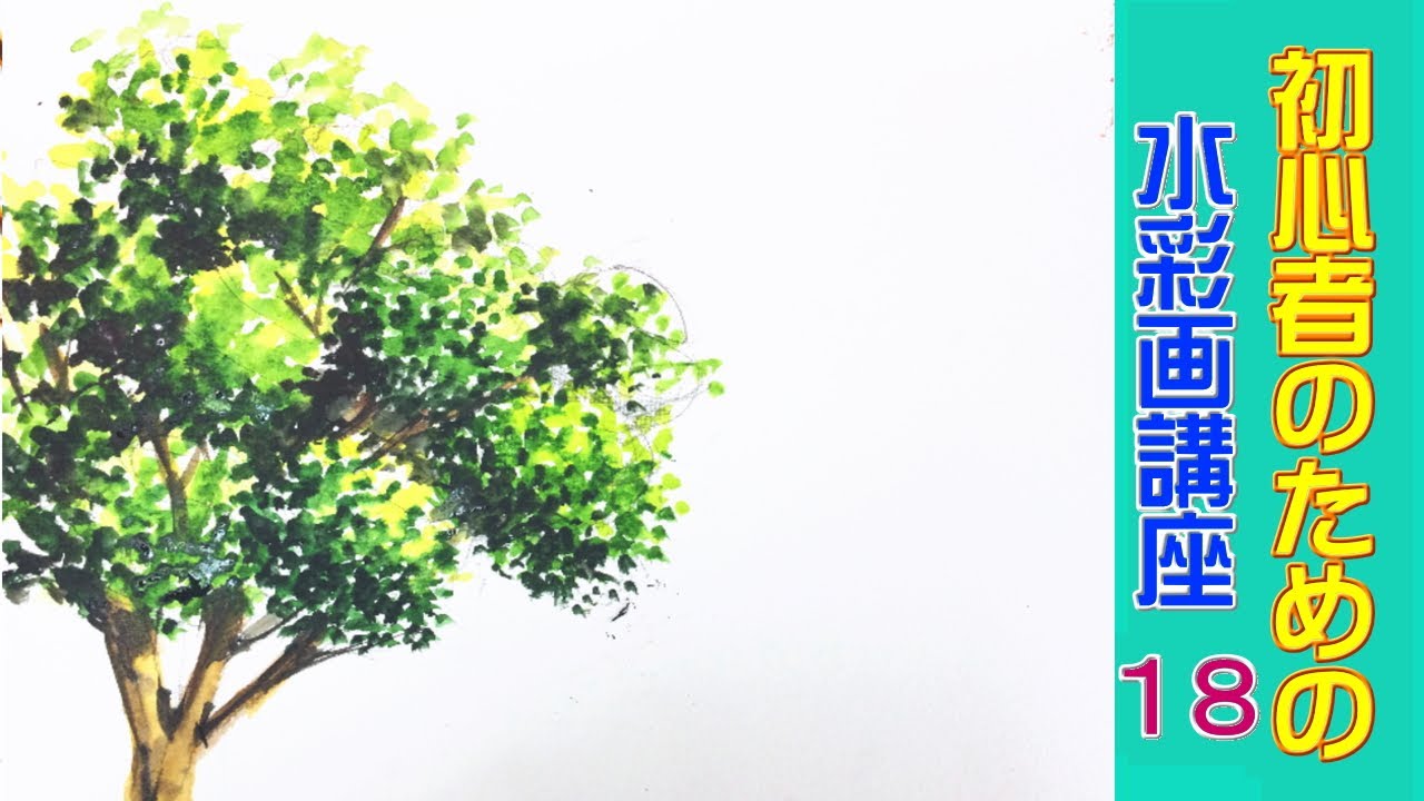 【初心者のための透明水彩18 】木の陰影/  [Watercolor course for beginners 18] How to draw trees