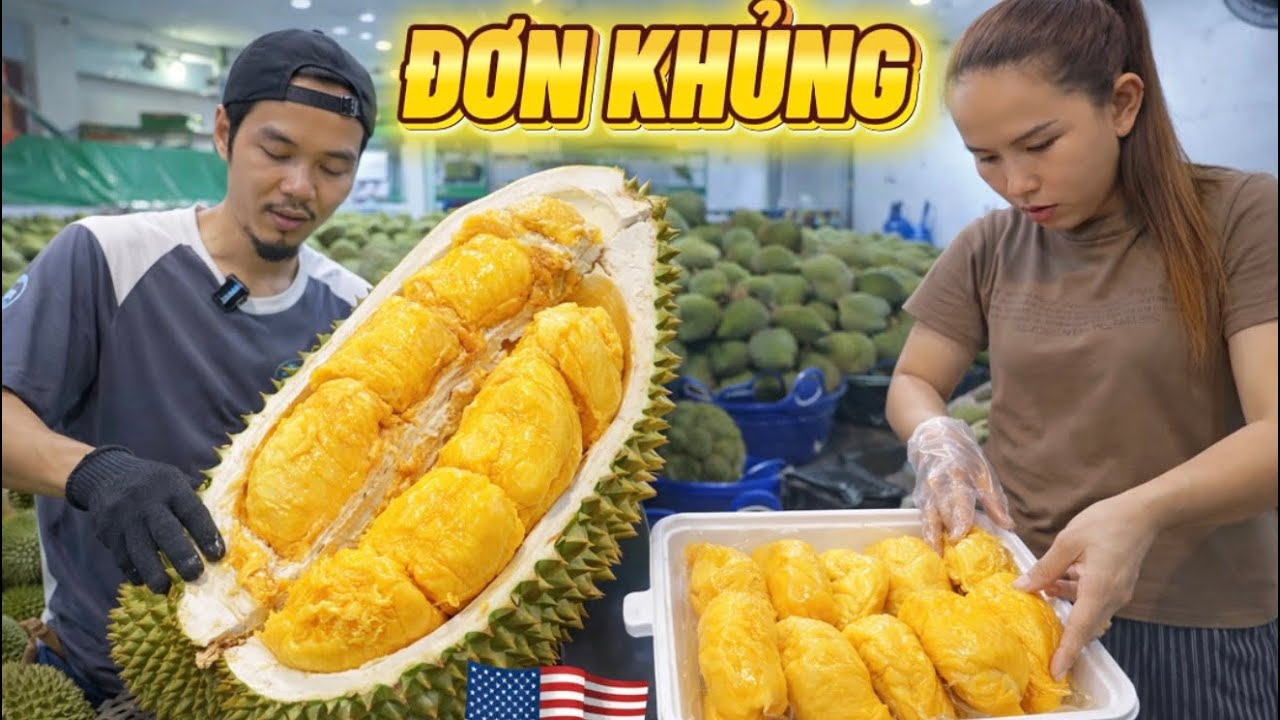 Không CẦN LẤY HỘT Lần Đầu Khui Sầu 15KG Cho Khách VIP Xuất đi Mỹ – Ai Cũng Bất Ngờ!