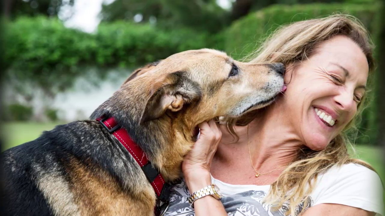 How Dogs Love Us by Gregory Berns