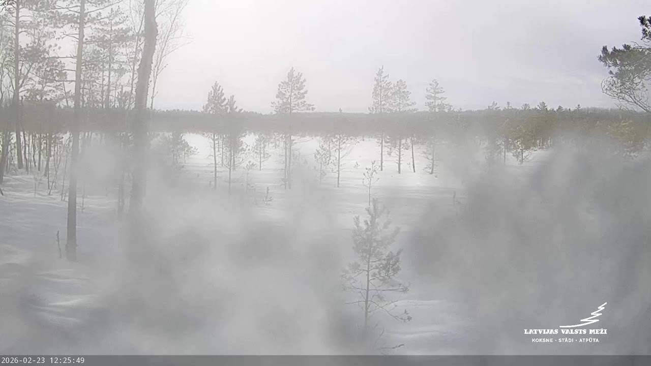 LVM Purvs - Bog