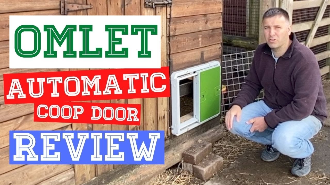 Omlet Automatic Chicken Coop Door Opener Review - Would I Recommend? - Hell Yes Learn Why!