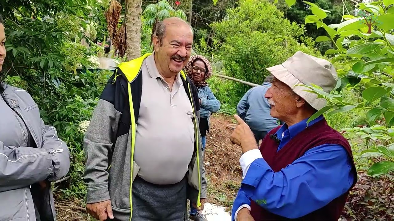 Caqui Poda e Manejo com Sergio Semerdjian Fruticultura no Plantar em Casa