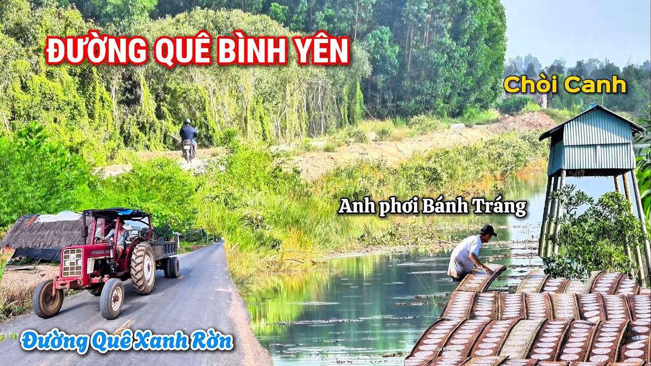 Chạy Dọc Rừng Tràm Bình Hoà Bắc | Có Một Buổi Sáng Bình Yên Trên Đường Quê .
