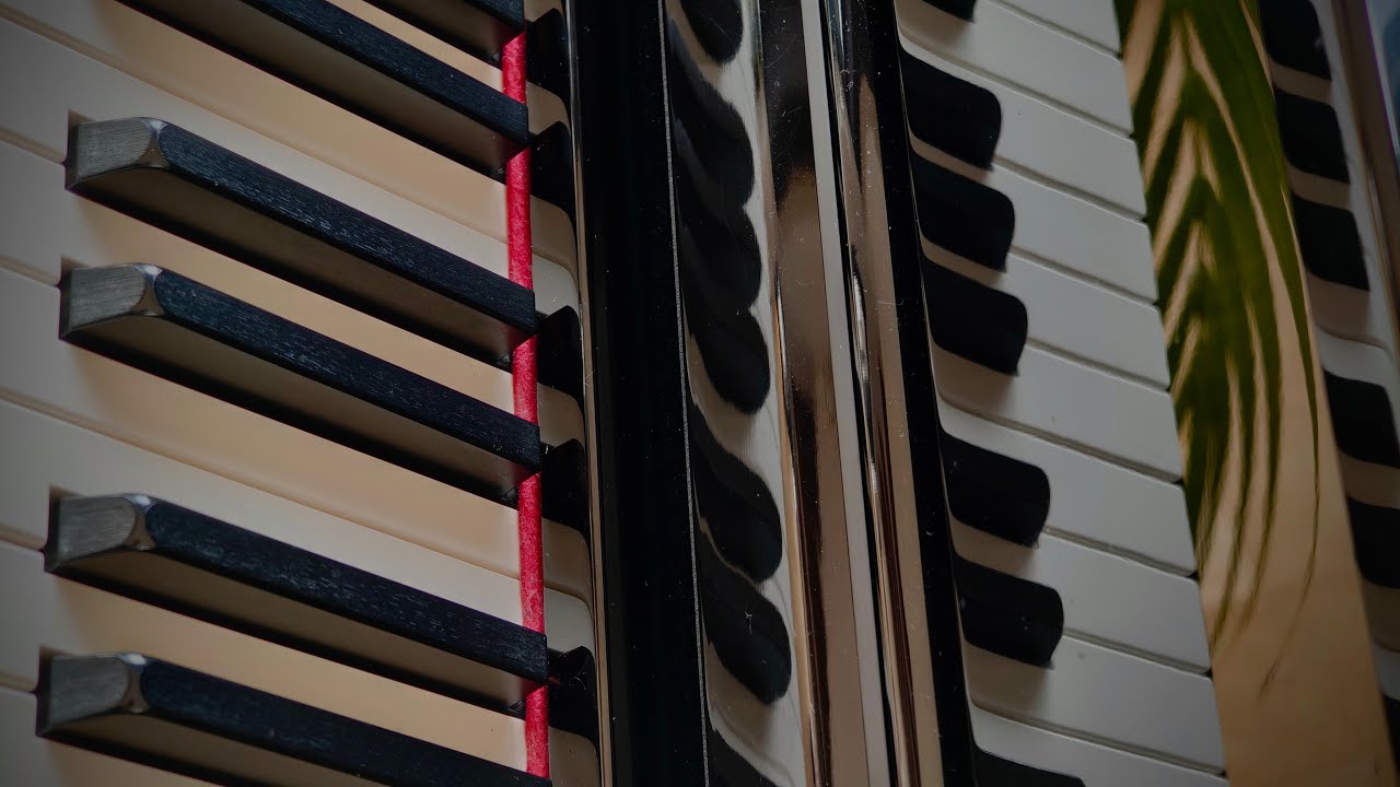 wandering around again || calming piano performance