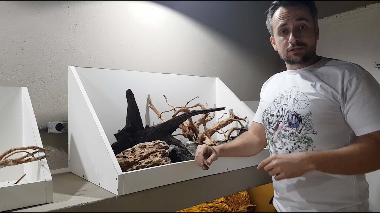Aquário Plantado Passo a Passo (Episódio 3) - Dicas e Macetes no Posicionamento do Hardscape