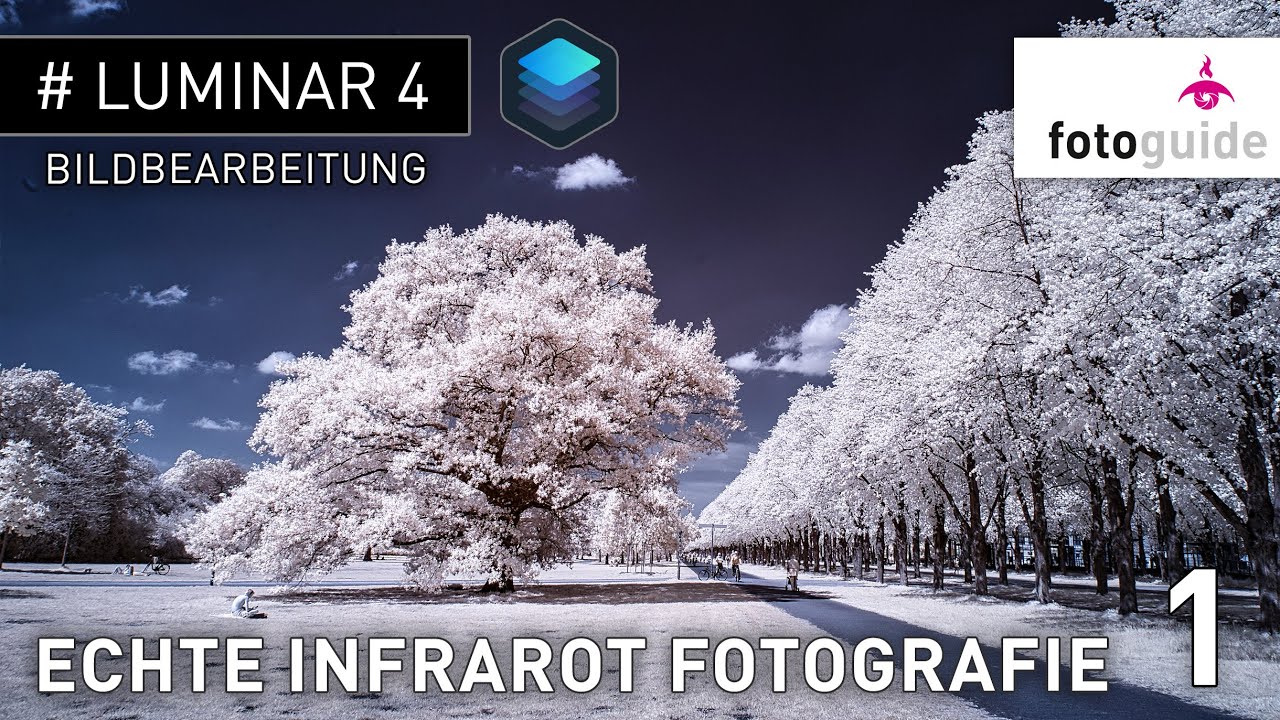 Luminar 4 #: Echte Infrarot Fotografie | Bildbearbeitung + GRATIS Download