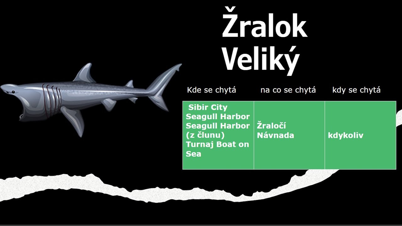 ŽRALOK VELIKÝ SEAGULL HARBOR/ 5⭐ (COMPILATION 5 STARS FISHAO #2)