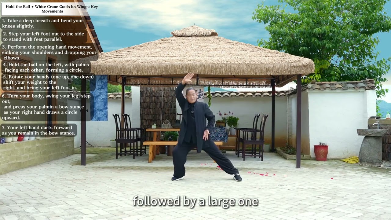 Harmolearn Wudang Tai Chi Wellness Course Week 4-3: Review of yesterday