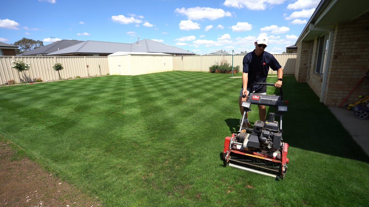 First Mow with the Toro Greensmaster 1000 // Lawn Renovation Day 26