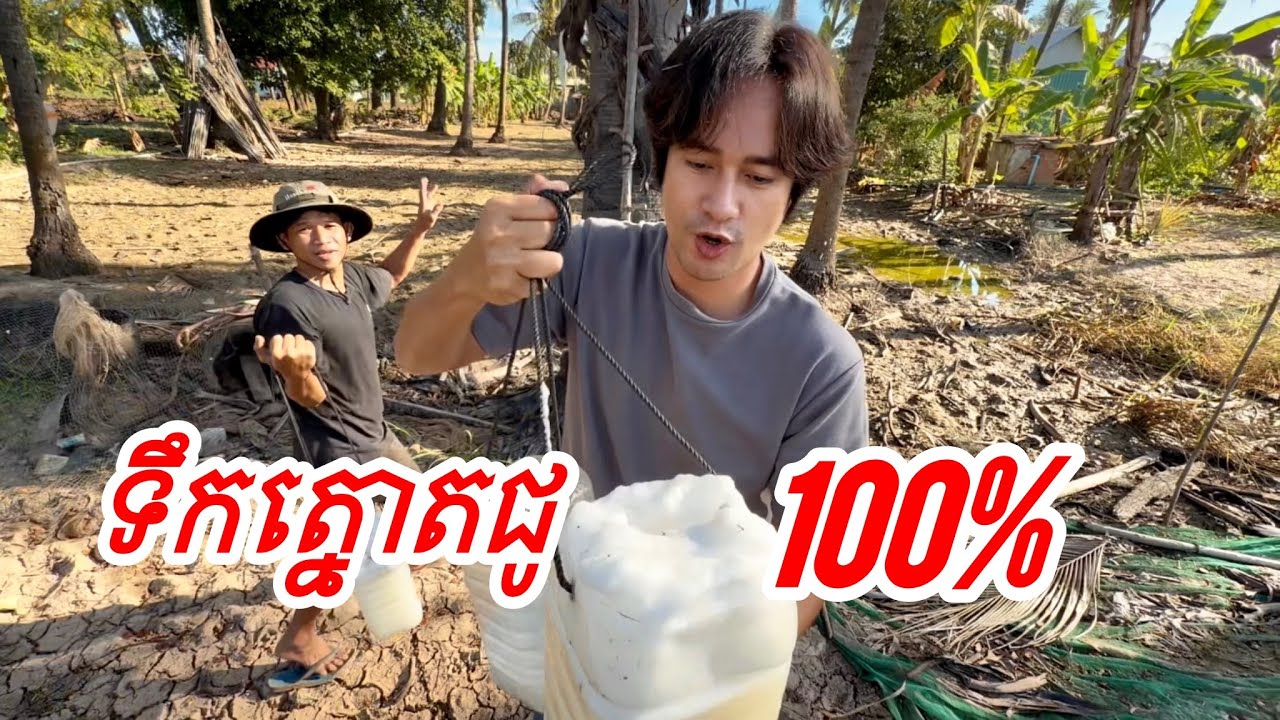 ទឹកត្នោតជូស្រស់ៗ យកពីដើមថ្មីៗ