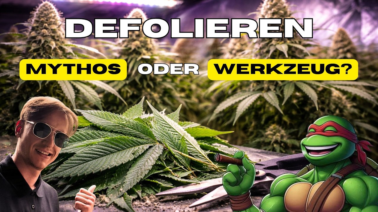 Defolieren in der Blüte: Reife pushen oder Ertrag killen? Klare Antworten statt Grow-Mythen