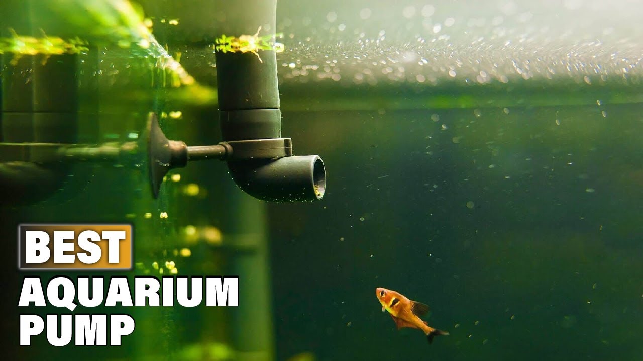Top 10 Best Aquarium Pump On Amazon