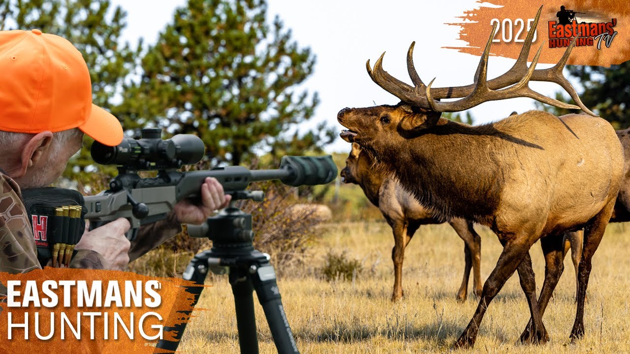 Список желаний: охота на лося в Колорадо | Eastmans' Hunting TV