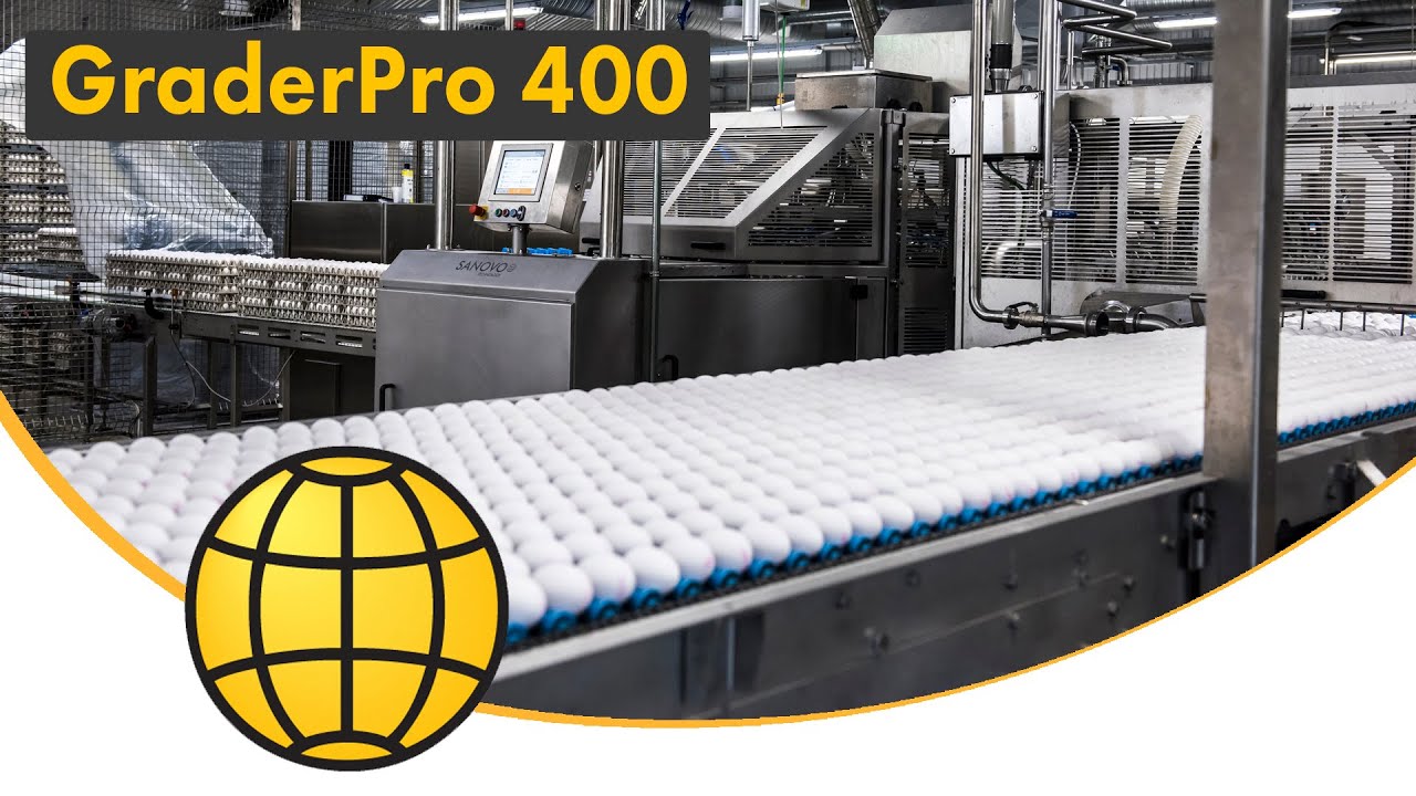 Egg Grading Machine (GraderPro) - Gentle Egg Grading and Packing Machine from SANOVO