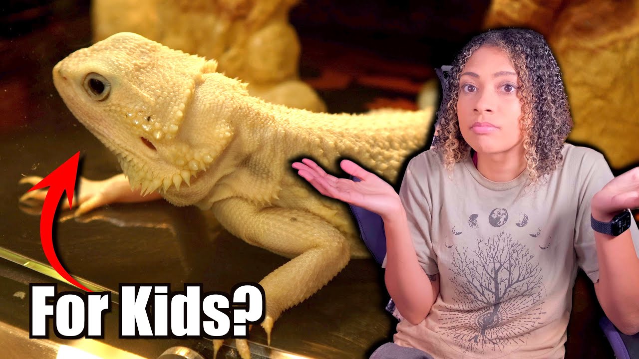 Are Bearded Dragons Bad Pets For Kids?