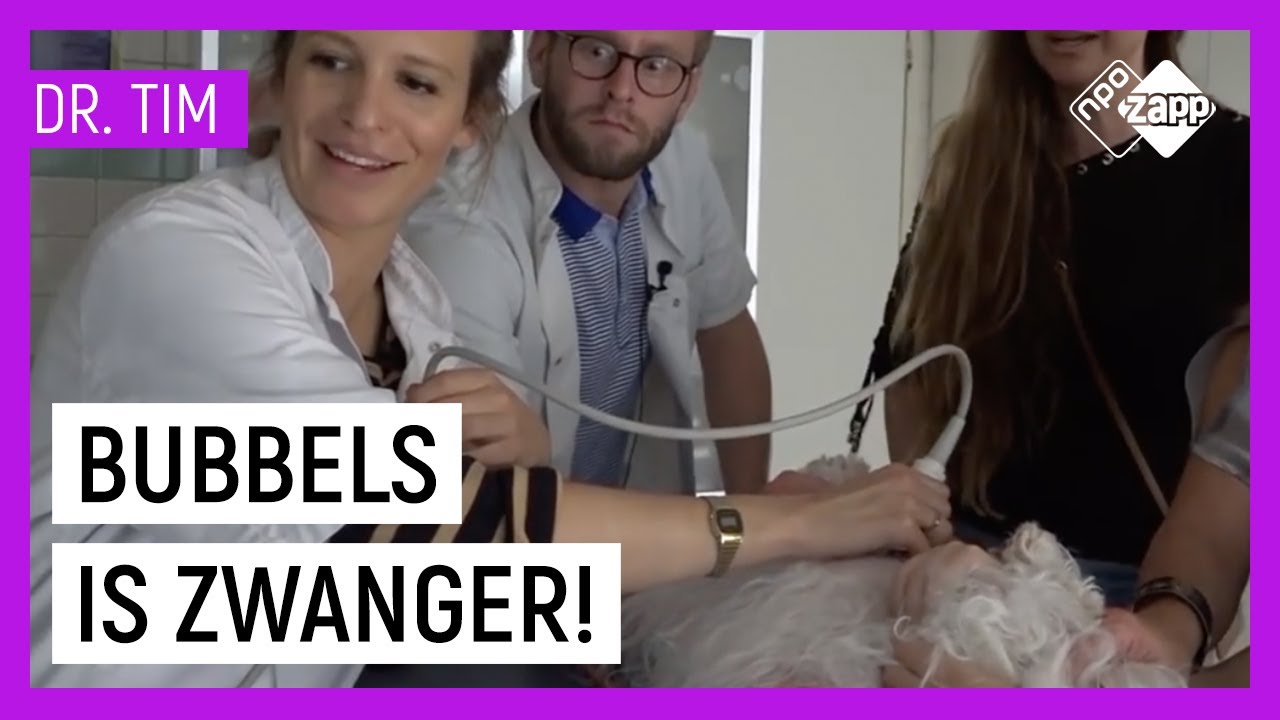 HONDJE BUBBELS KRIJGT EEN ECHO | Dr. Tim Beestieboys | NPO Zapp