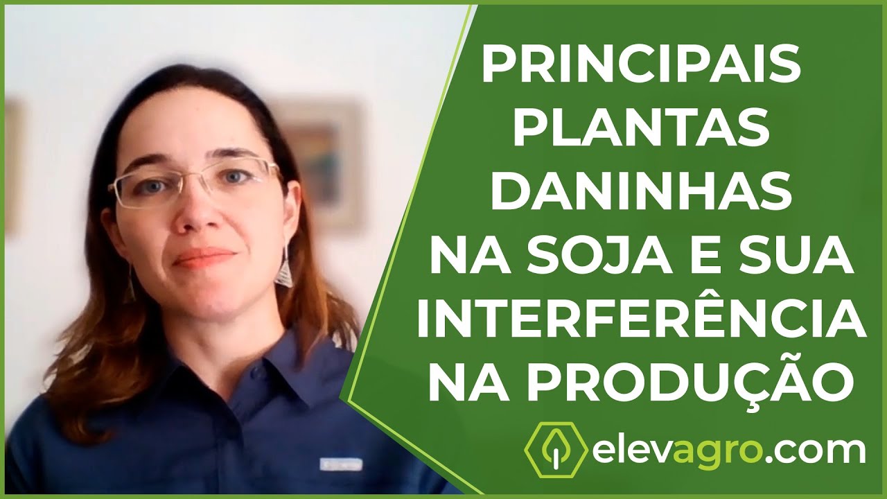 Principais plantas daninhas na soja e sua interferência na produção