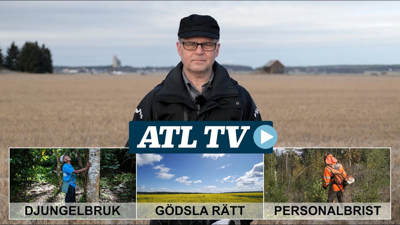 ATL TV: Ukrainakriget ger r&ouml;jarbrist &bull; Han odlar i djungeln &bull; Viktigt med svavel i raps