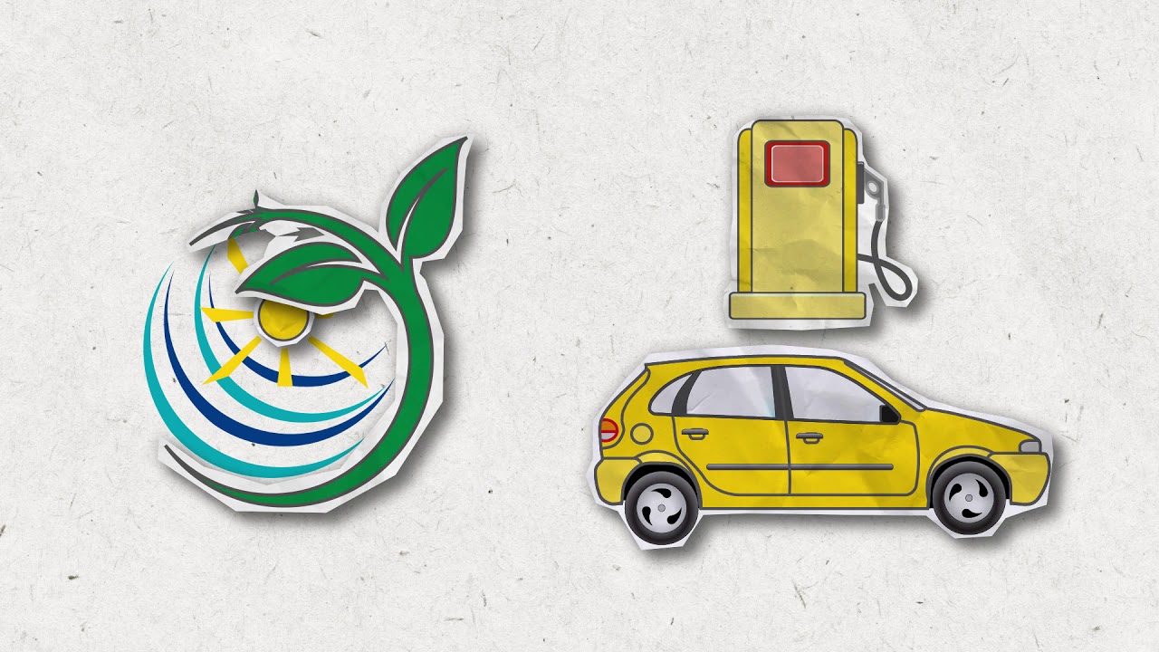 Offsetting CO2 emissions together with Shell