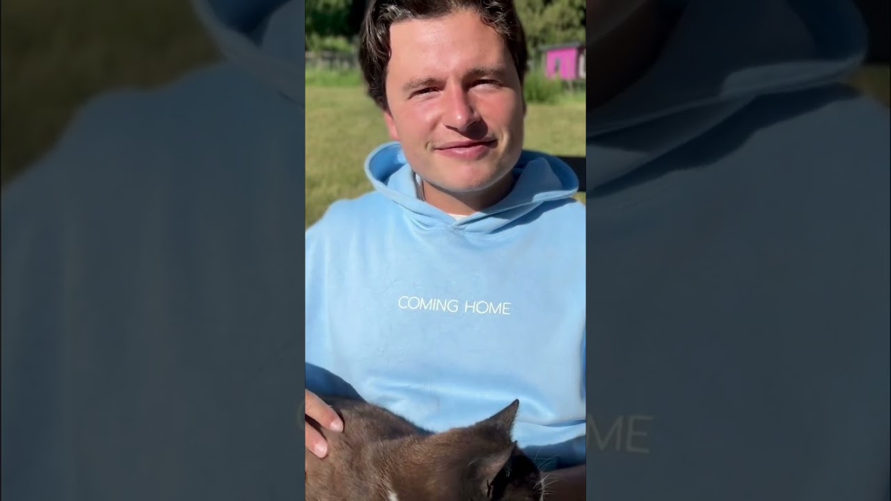 Im Einklang mit dem Leben: Bewusstes Sein und Liebe #shorts
