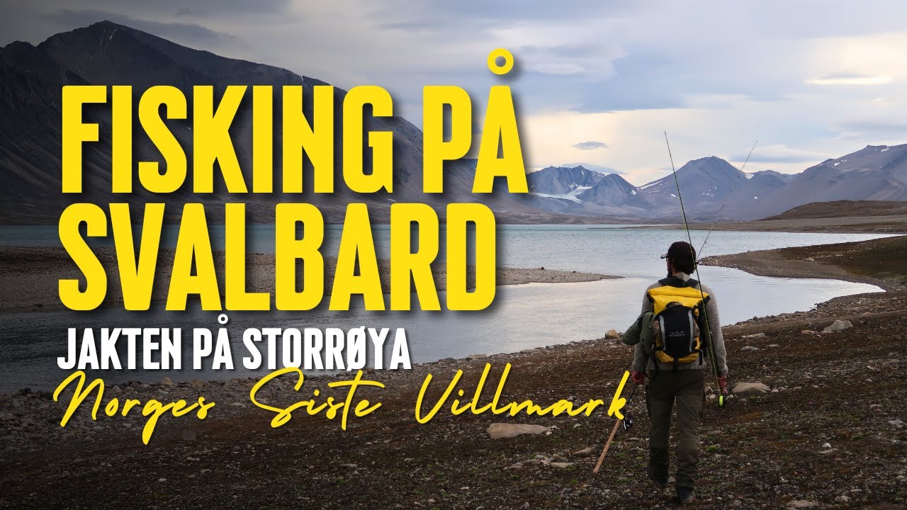 Svalbard – Jakten På Storrøya