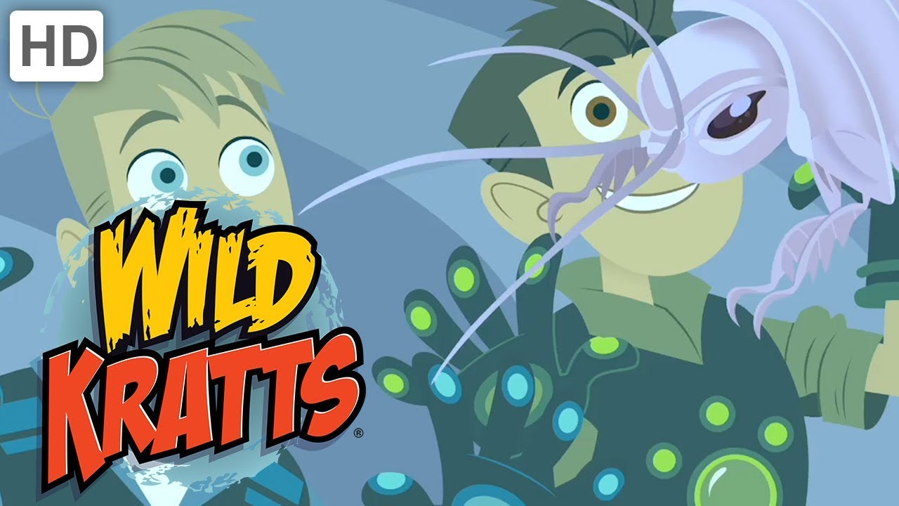 Wild Kratts 🦉🐙 Incredible Creatures! (Part 2) | Kids Videos