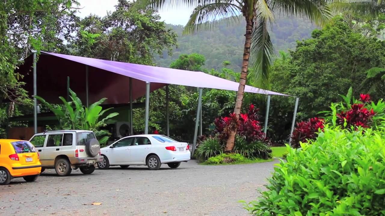 The daintree ice cream company and Cains