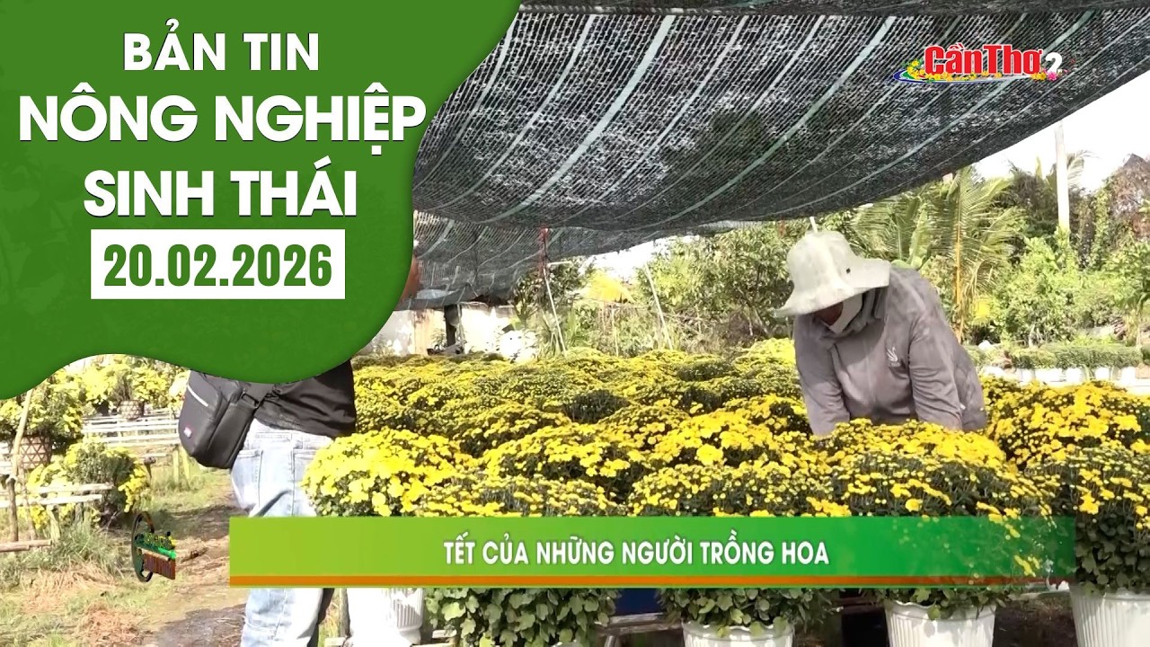 Tết của những người trồng hoa | NNST 20.02.2026