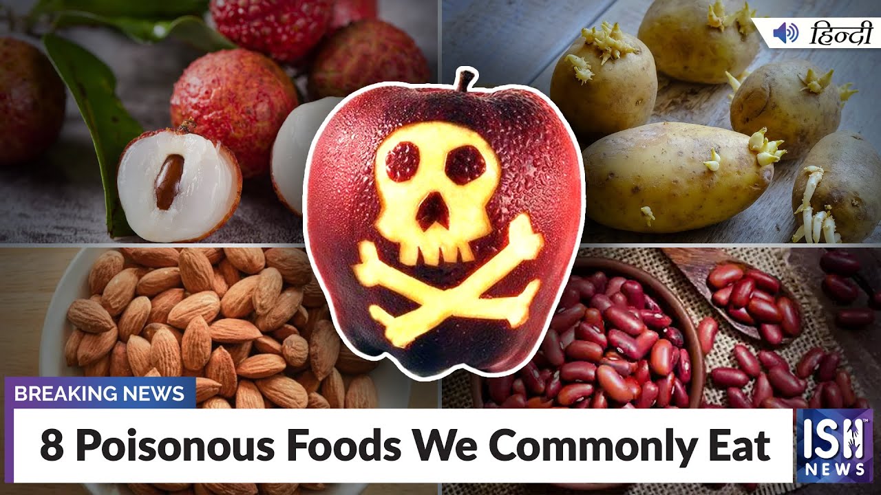 8 Poisonous Foods We Commonly Eat | ISH News