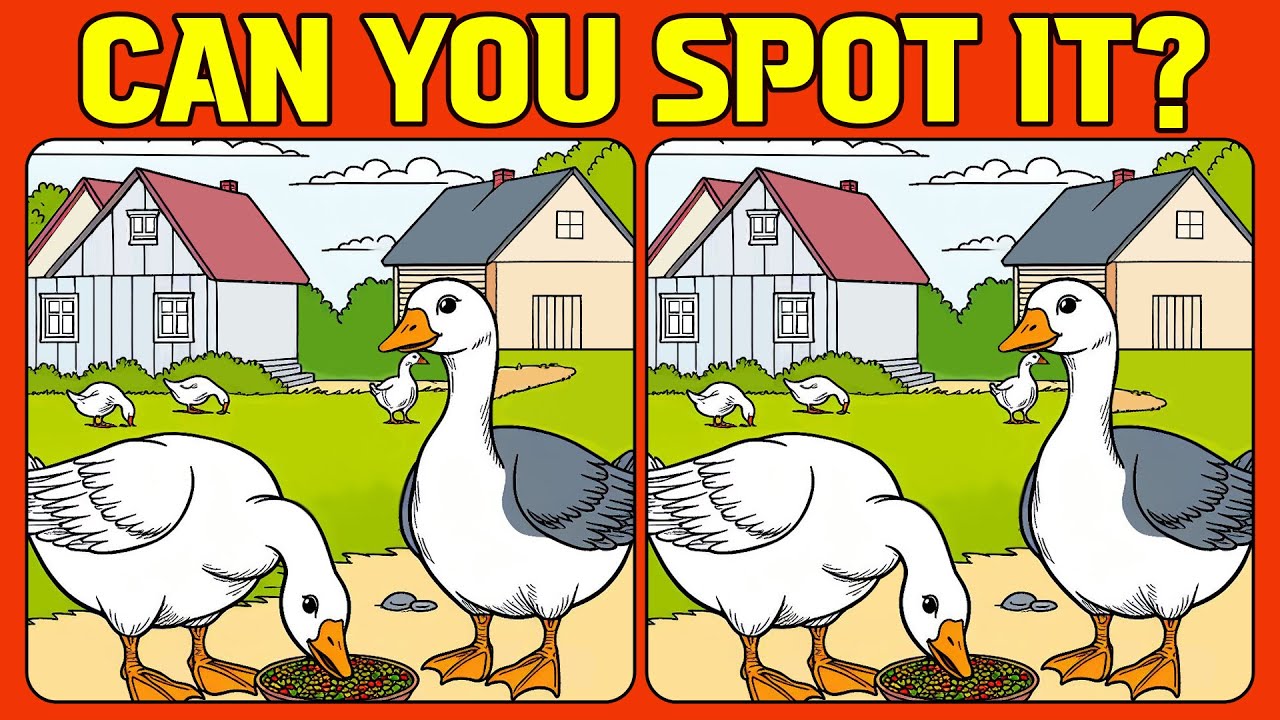 🧠🧩Spot the Difference : Can You Spot It? 《HARD》