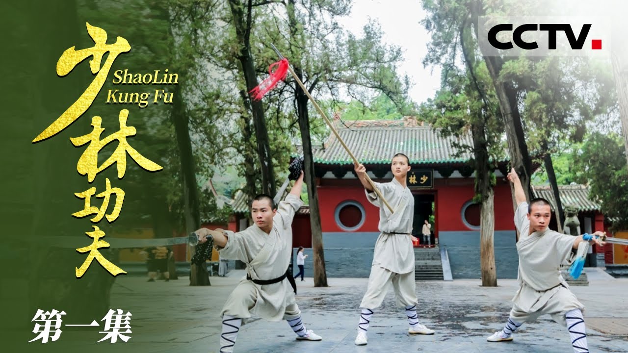 《少林功夫》第一集 天下功夫出少林 看完就明白少林功夫为何厉害！【CCTV纪录】
