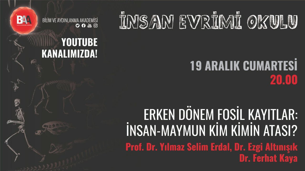 Erken Dönem Fosil Kayıtlar: İnsan-Maymun Kim Kimin Atası? | İnsan Evrimi Okulu 2 |Ferhat Kaya-YSE-EA